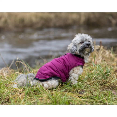 Trixie Arlay Dog Coat - kabát (bordó/berry) kutyák részére (S) 40cm