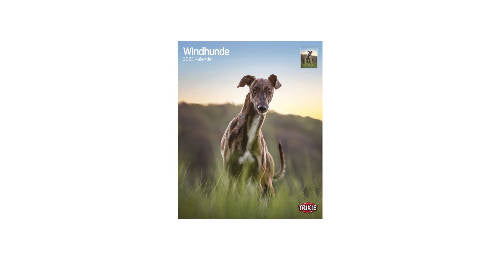 Trixie Calendar Windhunde 2023 - naptár (Agár) 35x43cm
