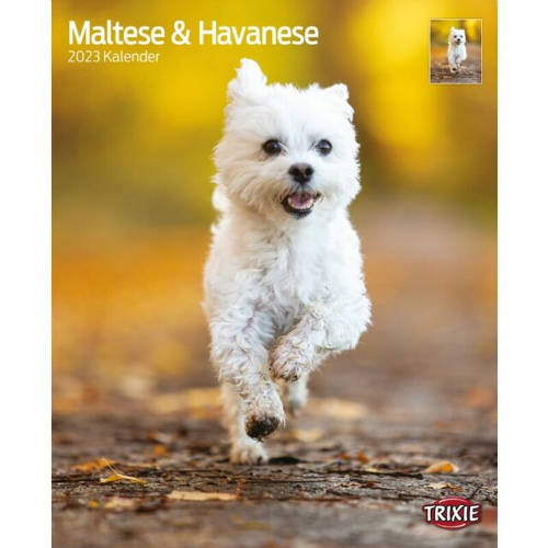 Trixie Calendar Maltese & Havanese 2023 - naptár (Máltai,Havanese) 35x43cm