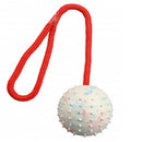 Trixie Ball on a Rope - natúr gumi játék (labda kötéllel) kutyák részére (Ø7/30cm)