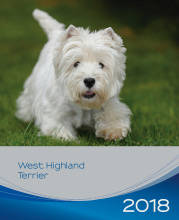 trixie 12585 naptár westi