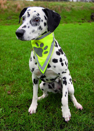 Trixie Safety Neckerchief - Fényvisszaverős kutyakendő L-XL (43-60cm)