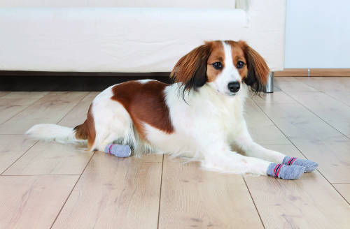 Trixie Dog Socks - kutyazokni (szürke) M-L (2cs)