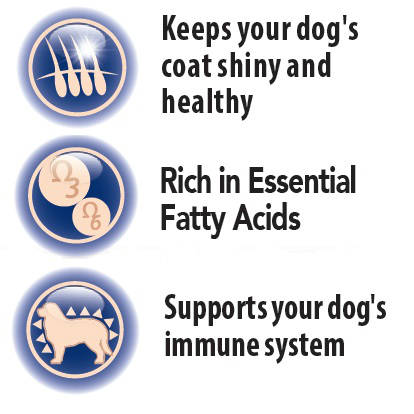Panzi FitActive vitamin FIT-a-SKIN vitamin kutyáknak 60db