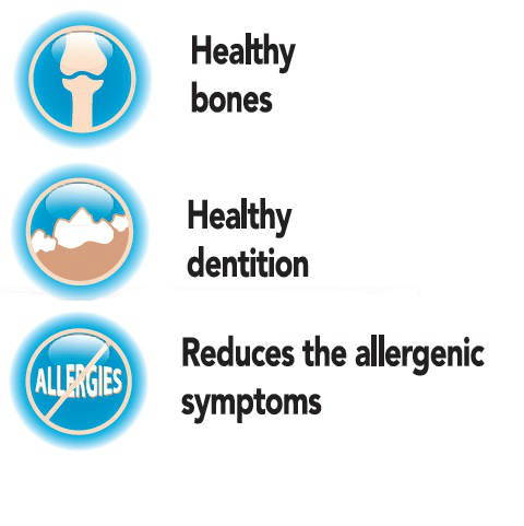 Panzi FitActive vitamin FIT-a-Calci Plus vitamin kutyáknak 60db