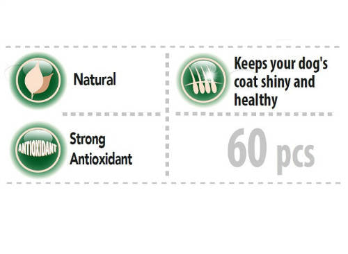 Panzi FitActive vitamin FIT-a-BROCCOLI vitamin kutyáknak 60db