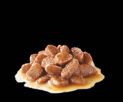 Royal Canin Feline Adult (Intense Beauty) - alutasakos eledel macskák részére (85g)