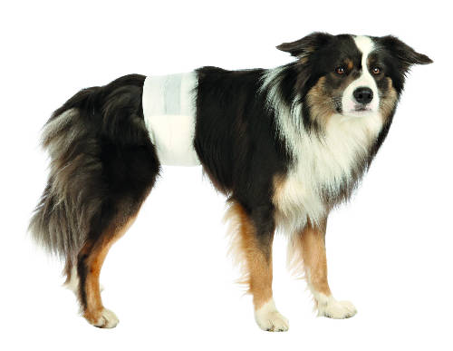 Trixie Diapers for Male Dogs - pelenka kan kutyák részére L-XL (60x80cm) 12db