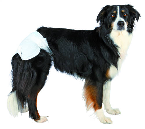 Trixie Diapers for Female Dogs - pelenka szuka kutyák részére (L) 12db (38-56cm)