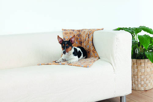 Trixie Laslo Blanket - takaró (bézs mintás) kutyák részére (50x75cm)