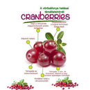 Panzi FitActive Cat Sensitive Adult (baromfi,hal) száraztáp - Felnőtt macskák részére (1,5kg)