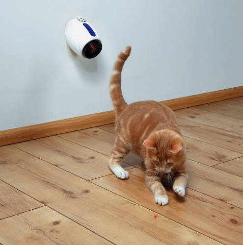 Trixie Laser Pointer Moving Light - játék (lézeres mutató) macskák részére (11cm)