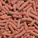 Sera Reptil Raffy Mineral - Hüllőtáp (1000ml)