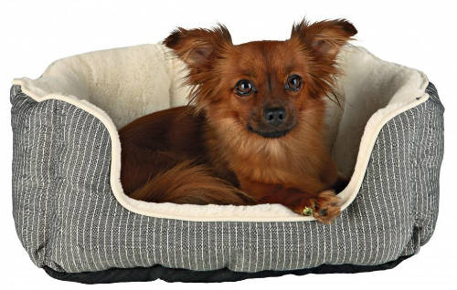 Trixie Bed Davin - szögletes, peremes ágy (szürke/krém) kisállatok részére (60x45cm)