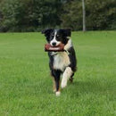 Trixie Preydummy - játék kiképzéshez (dummy) kutyák részére (Ø6x14cm)