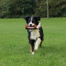 Trixie Preydummy - játék kiképzéshez (dummy) kutyák részére (Ø6x14cm)