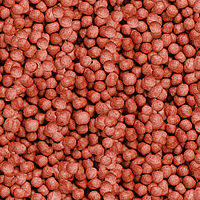 Sera Koi Royal Medium - Főtáplálék Koi pontyok részére (3800ml)