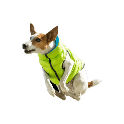 AiryVest kutyaruha kifordítható, XS 25, zöld-kék