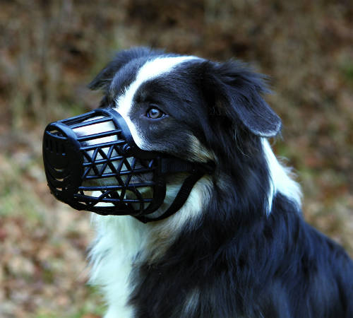 trixie 17602 müa.szájkosár 2'