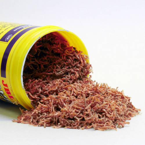 JBL ProNovoFil - Vörös szunyoglárva díszhalak részére (3-10cm) 100ml/10g